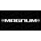 Dodge - Magnum